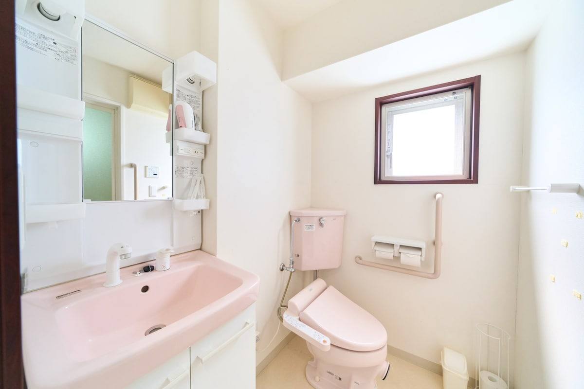 Washbasin and toilet in a Sunlit room